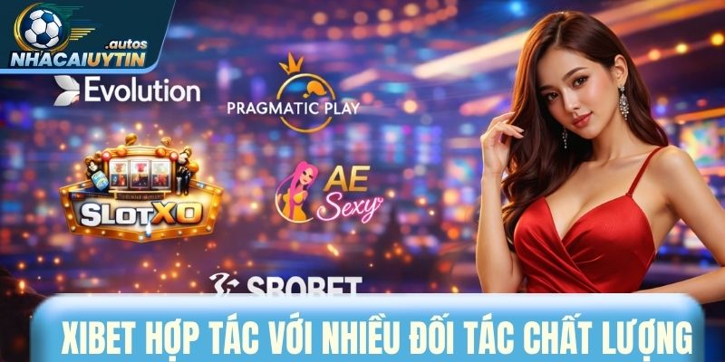 Xibet hợp tác với nhiều đối tác chất lượng